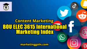 BOU ELEC 3615 International Marketing Index
